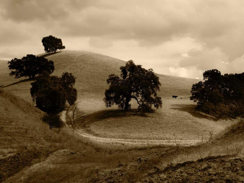 sudoku daily practice